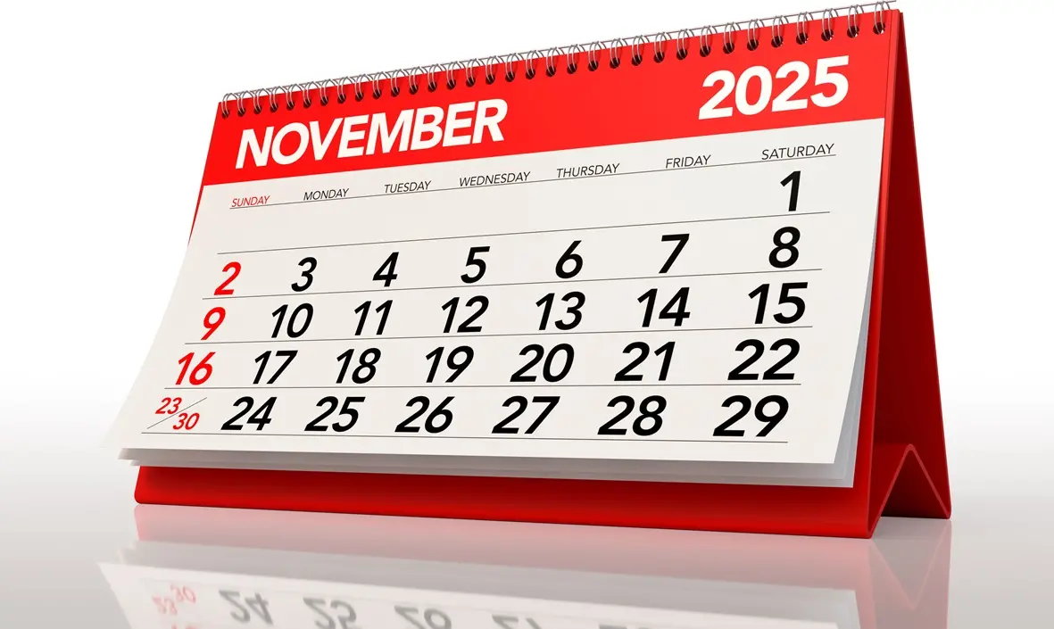 Imagem da notícia: Veja lista de feriados e datas comemorativas de novembro