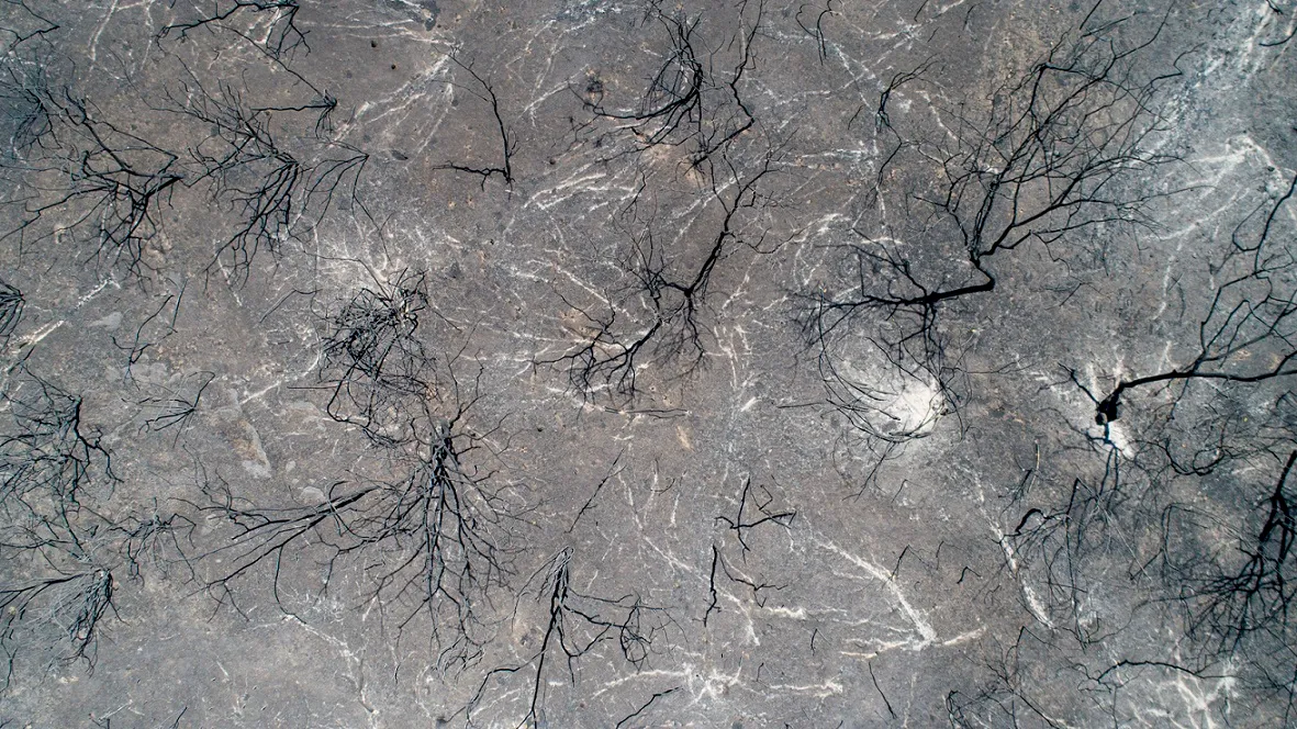 Queimadas deixam marcas profundas no solo e na vegetação do Ceará, ajudando a empobrecer os nutrientes do solo.