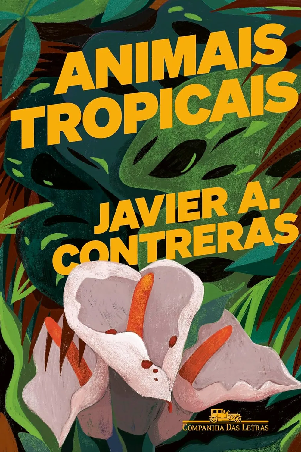 A narrativa de 