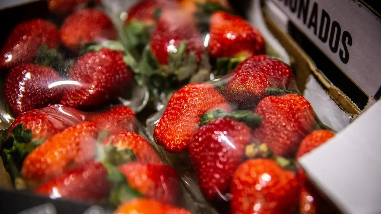 Imagem da notícia: Alimentação e sono: a importância de cuidar do corpo para turbinar o cérebro no Enem