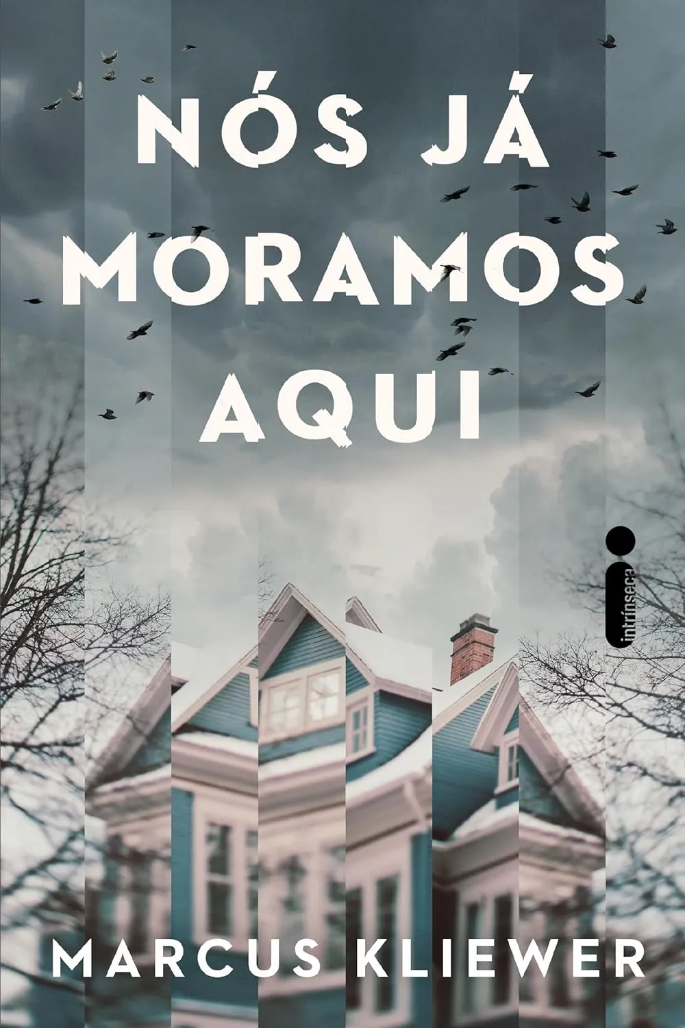 No livro, coisas inexplicáveis começam a acontecer, como o sumiço da caçula da família e uma aparição fantasmagórica no porão.