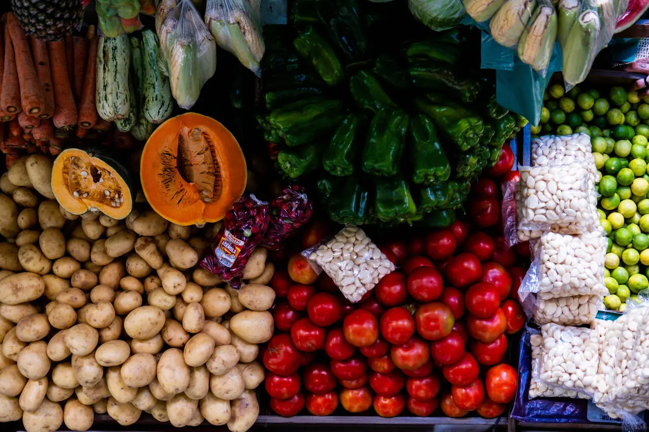 Imagem da notícia Com maioria feminina, cooperativas combatem a fome e levam comida sem agrotóxicos ao Ceará