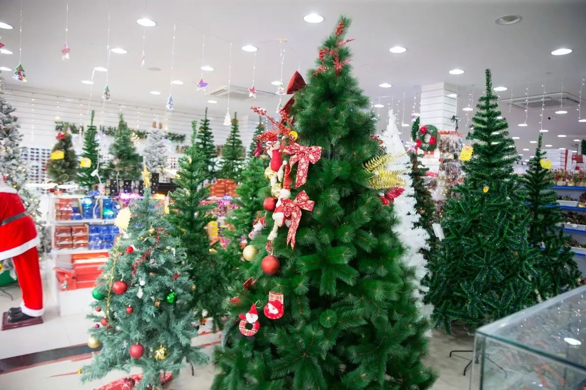 Imagem da notícia: Alugar ou comprar árvore de Natal? Veja qual compensa mais