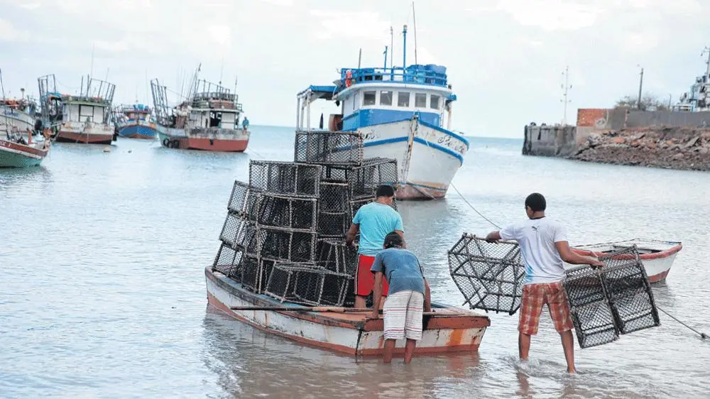 Imagem da notícia: Se quiser progredir, Ceará terá de desenvolver a Economia do Mar 