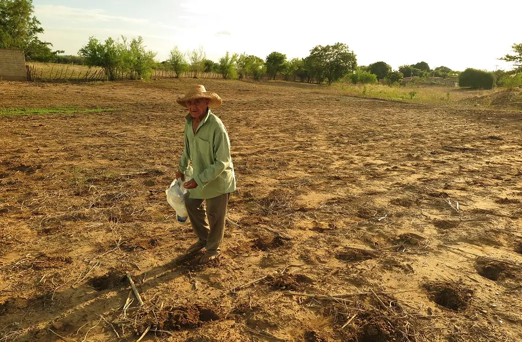 Imagem da notícia: Novo aplicativo cruzará solo e clima para indicar melhor época de plantar no CE