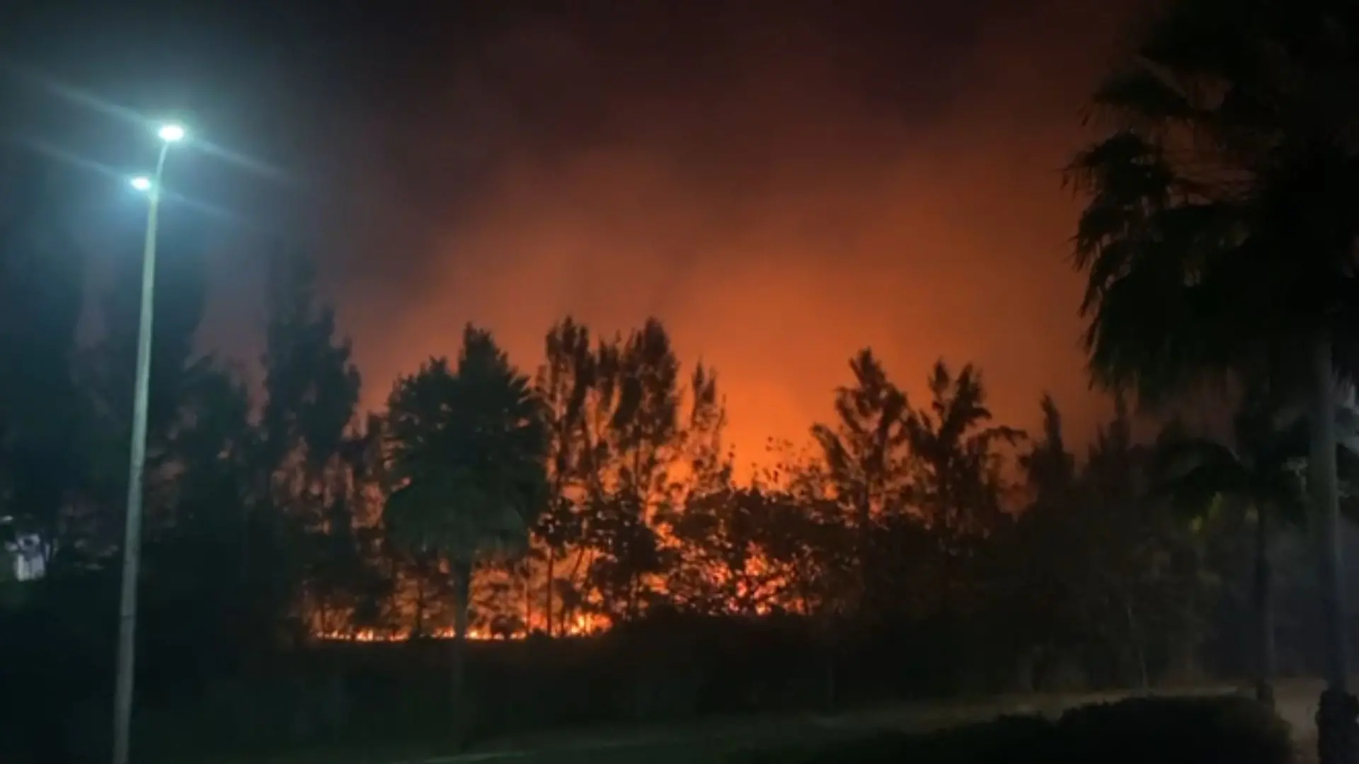 Imagem da notícia Incêndio atinge vegetação nas proximidades do Hospital Universitário do Ceará