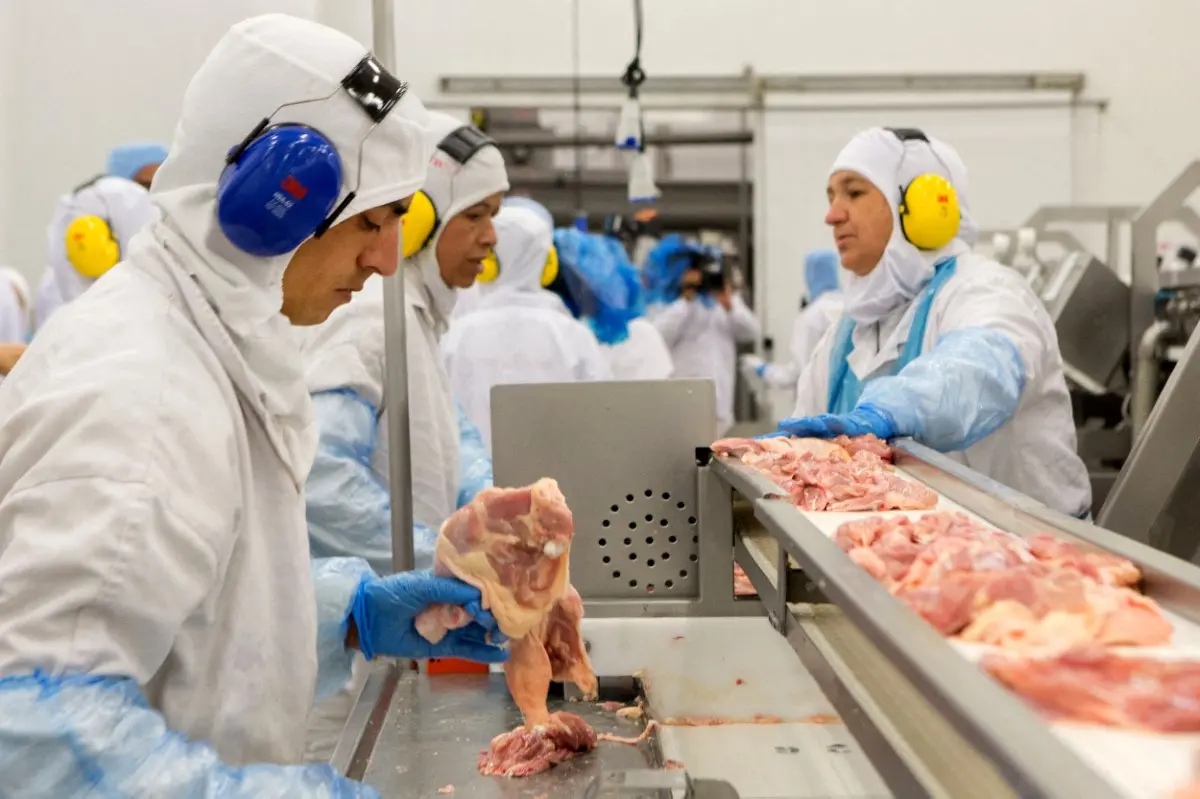 Imagem da notícia EUA abre investigação contra JBS e outras companhias de carne