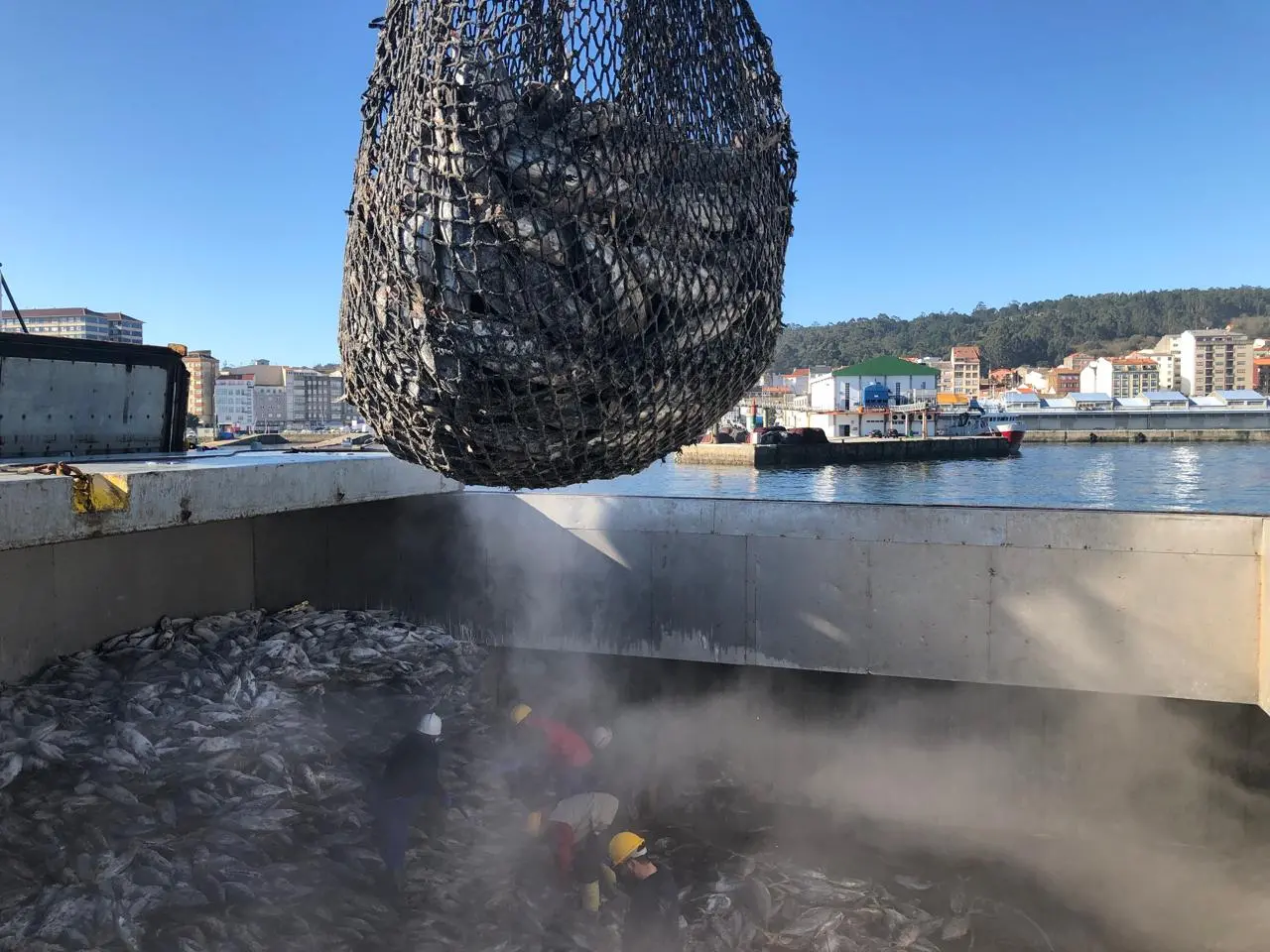 Imagem da notícia: Diante do mar, o Brasil também é diferente de Portugal