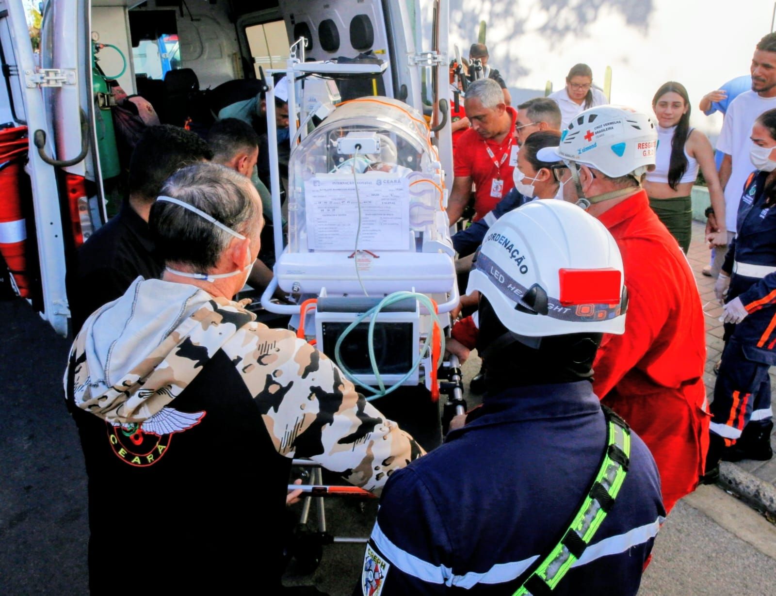 Bebês serão transferidos para outras unidades hospitalares.