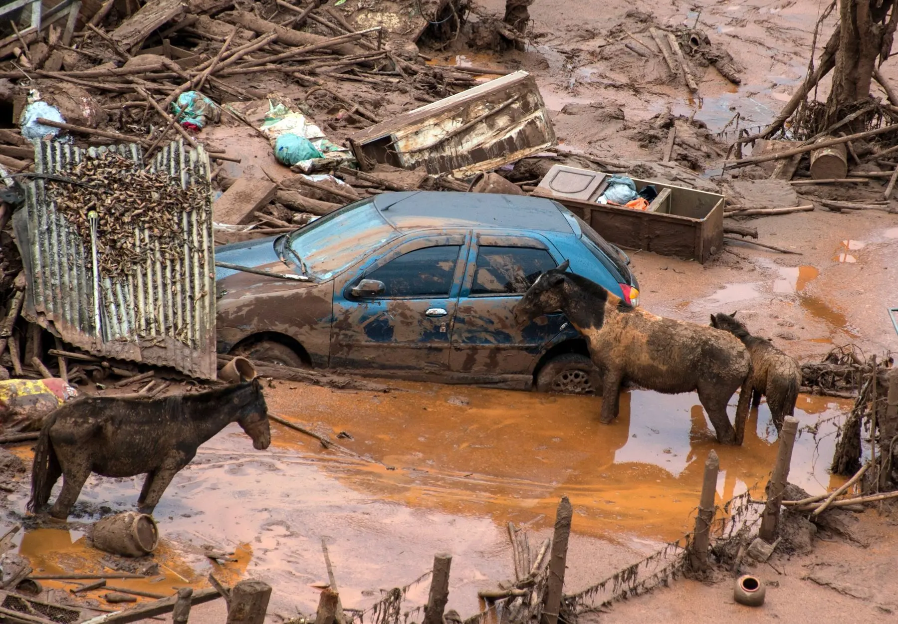 Imagem da notícia Mineradora BHP é condenada em Londres por rompimento de barragem de Mariana (MG)