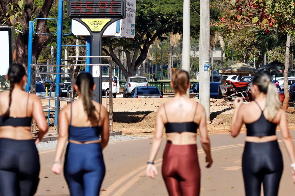 Imagem da notícia Saiba qual a previsão do tempo para o feriadão da Consciência Negra 