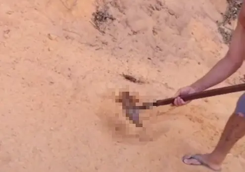 Imagem da notícia: Corpo é encontrado em cova rasa no Interior do Ceará