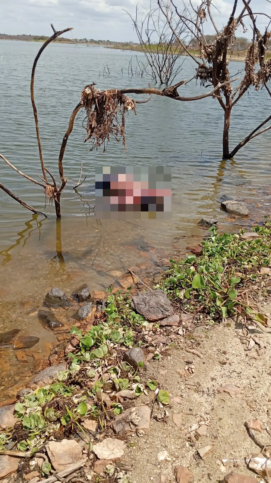 Imagem da notícia Três corpos são encontrados às margens de açude em Varjota, no Ceará 