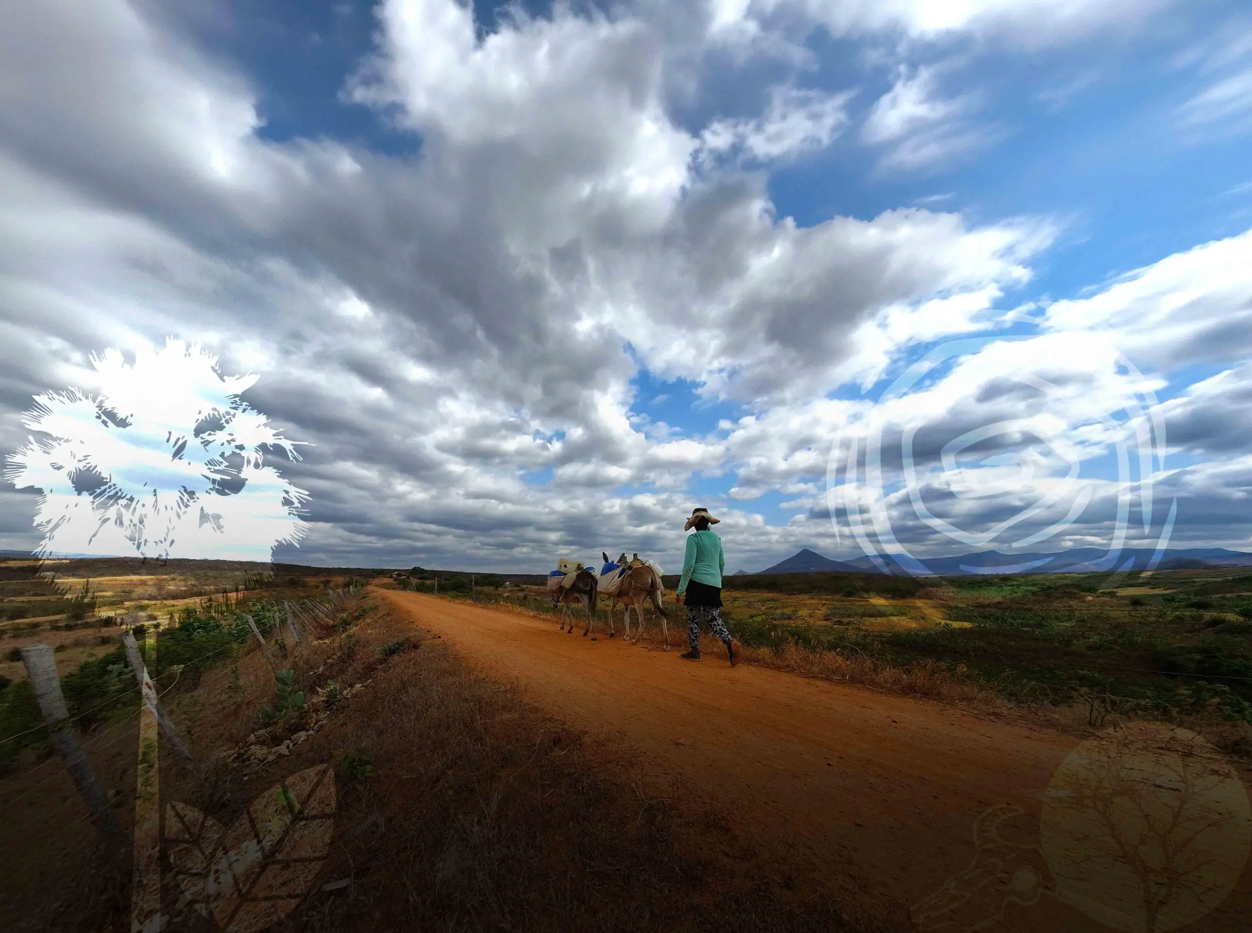 Imagem da notícia: Combate à desertificação: Auditoria do TCE Ceará pauta revisão de políticas para o semiárido