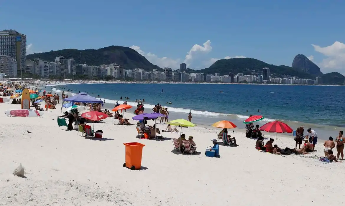 Imagem da notícia A fêmea do cupim e a fuga da realidade política