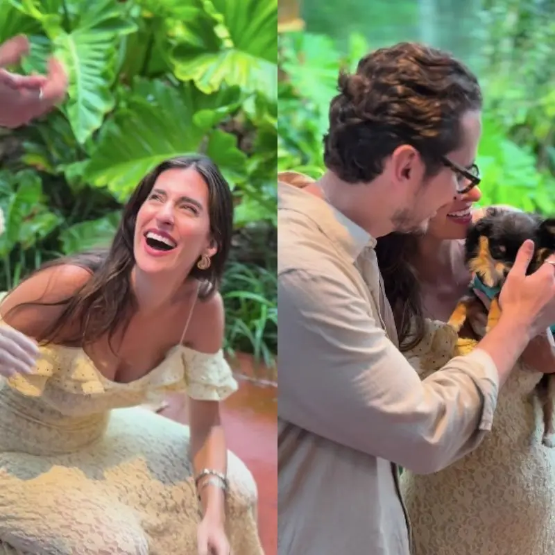 Imagem da notícia Chá revelação com cachorros emociona a internet; veja vídeo