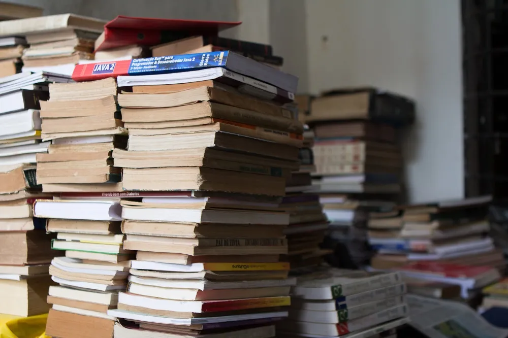 Segundo Ricardo Bacelar, o movimento deve ser contrário ao do governo, deixando os livros cada vez mais baratos para favorecer a circulação das obras