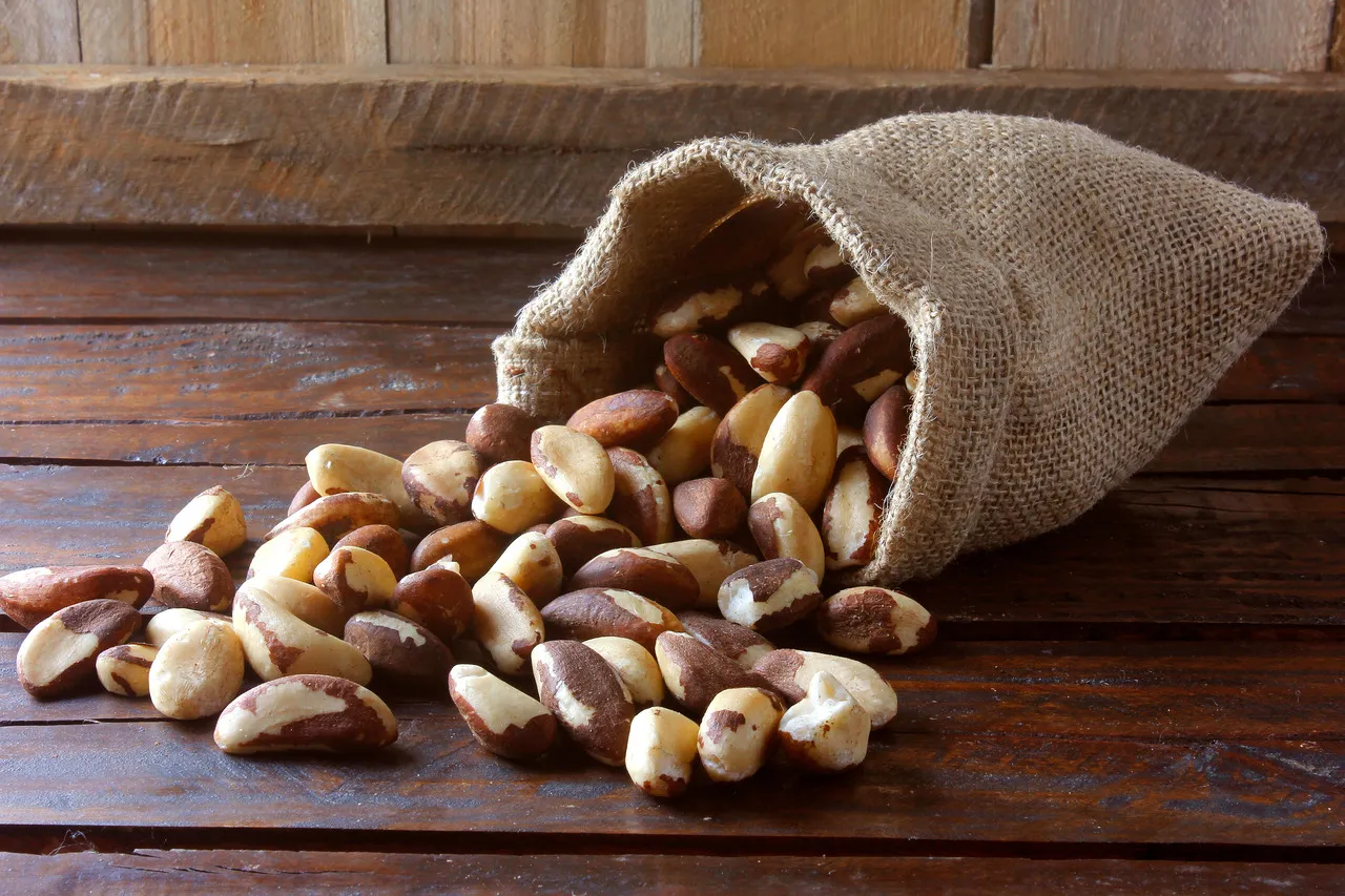 Assim como o fruto do cajueiro, a castanha-do-pará também é rica em nutrientes benéficos