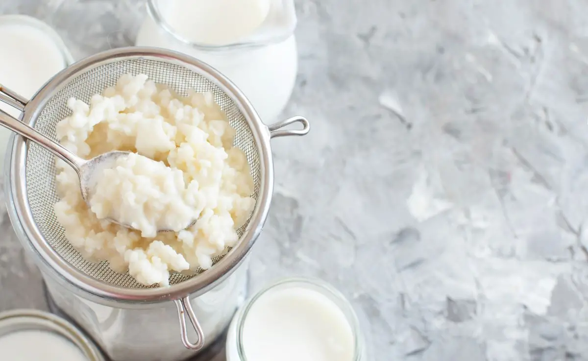 Kefir sendo coado em recipiente