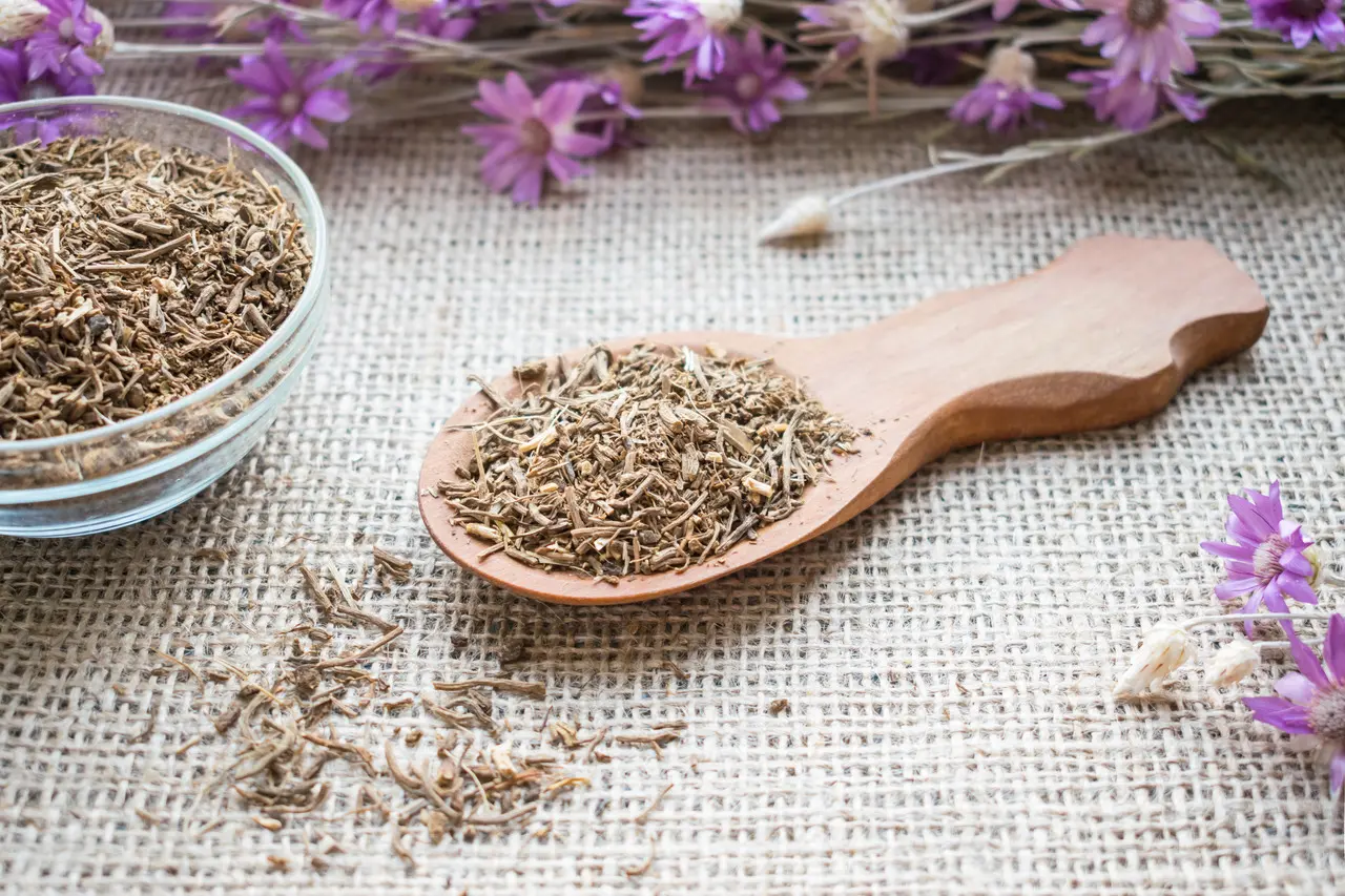 Raízes de valeriana