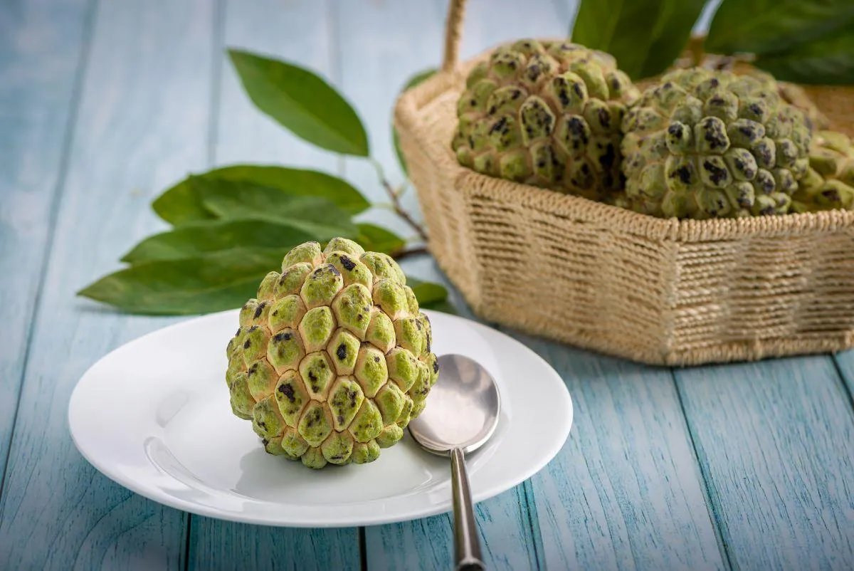 Alimento pode ser consumido na forma de purês, mousses, sucos e outros