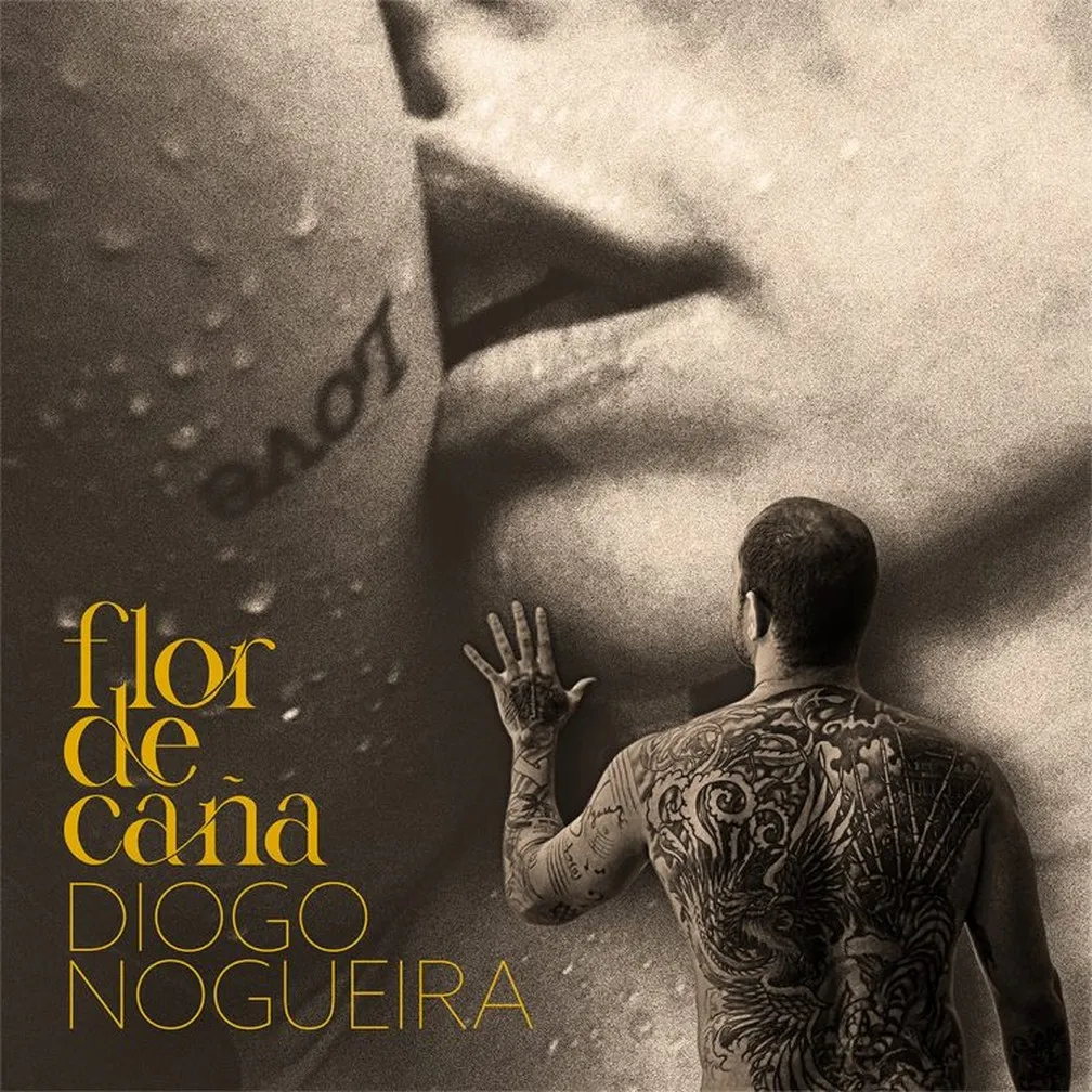 Segundo Diogo Nogueira, a capa foi trabalhada por ele pela equipe