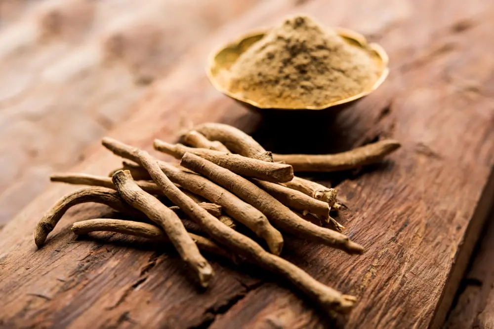 Ginseng indiano