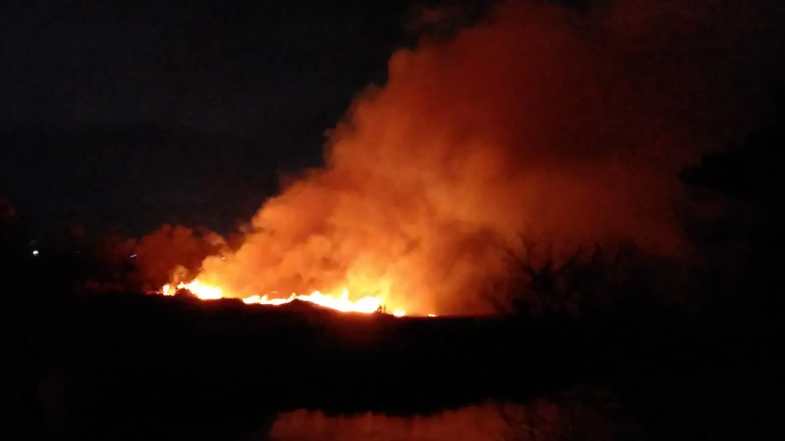 Imagem da notícia: Veja imagens do incêndio que atingiu o Parque do Cocó