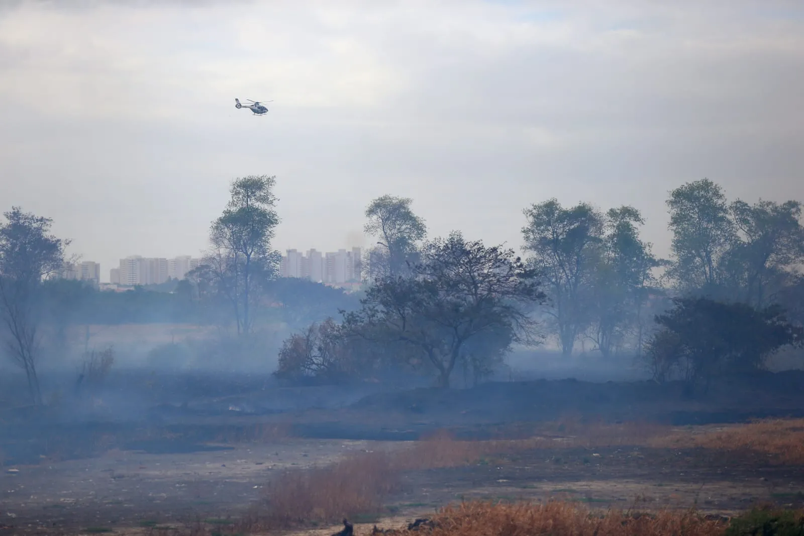 Aeronave da Ciopaer realiza sobrevoo em área devastada pelas chamas
