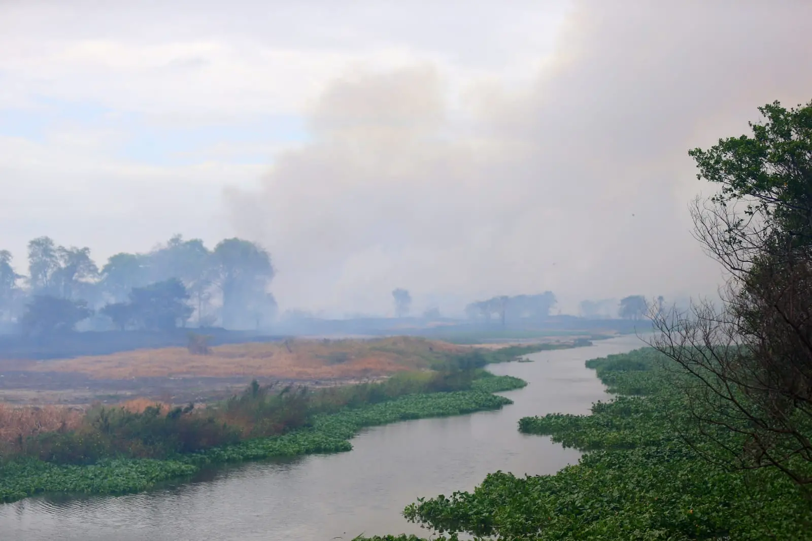 incêndio no parque do cocó em fortaleza nesta quinta-feira (18)