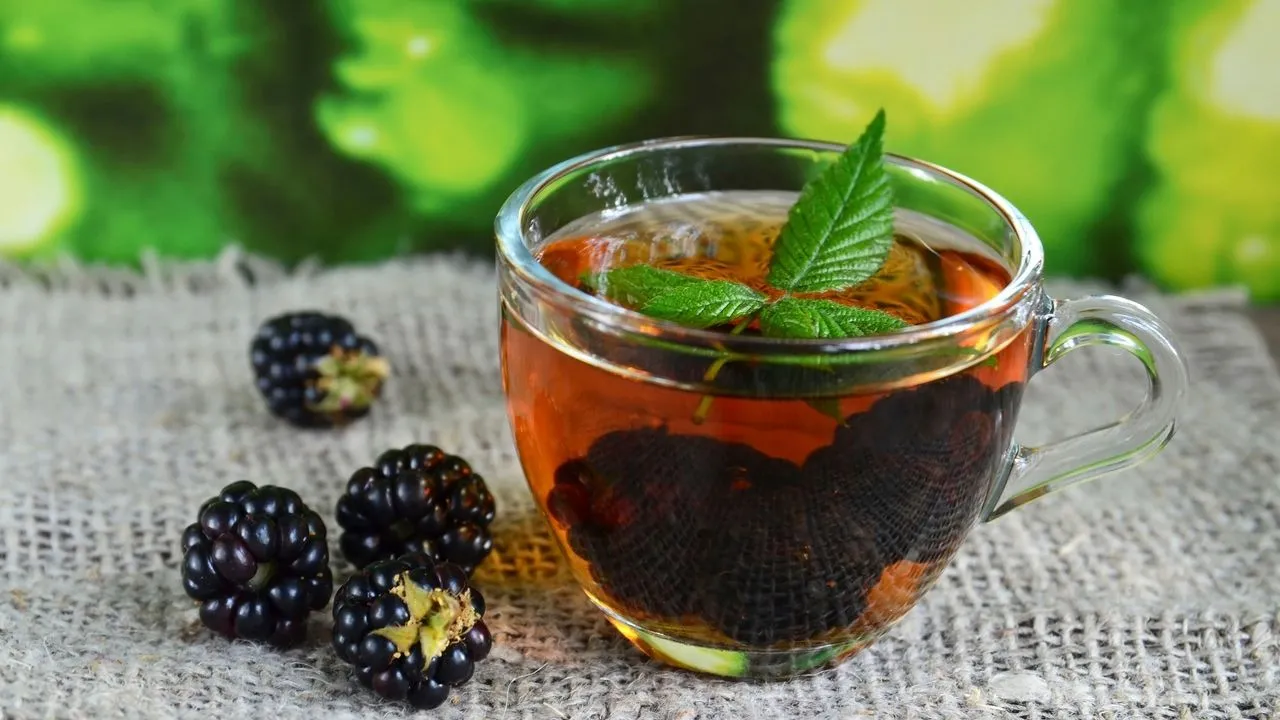 Chá de amora tem propriedades antioxidantes e fitoquímicas, com a principal sendo a antocianina