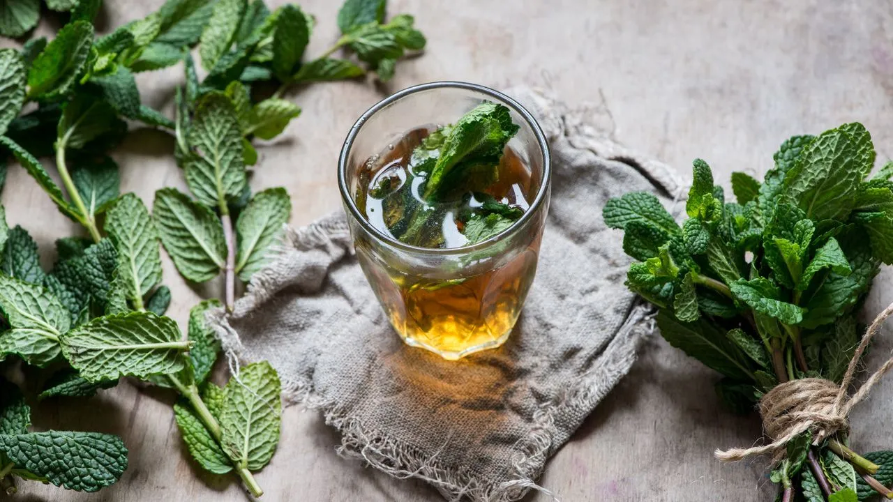 O chá de hortelã também contém flavonoides e ácidos fenólicos, além de vitaminas A e C
