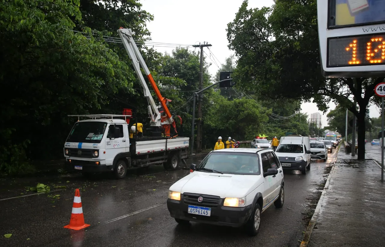 Uma árvores caiu na Avenida Engenheiro Santana Jr e o trânsito ficou comprometido.