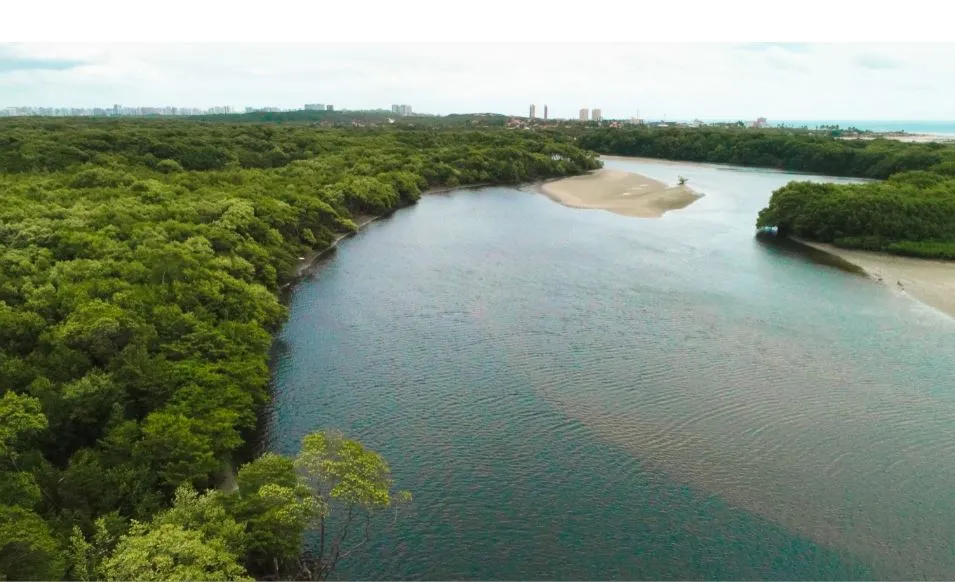 Sabiaguaba é o verde de Fortaleza