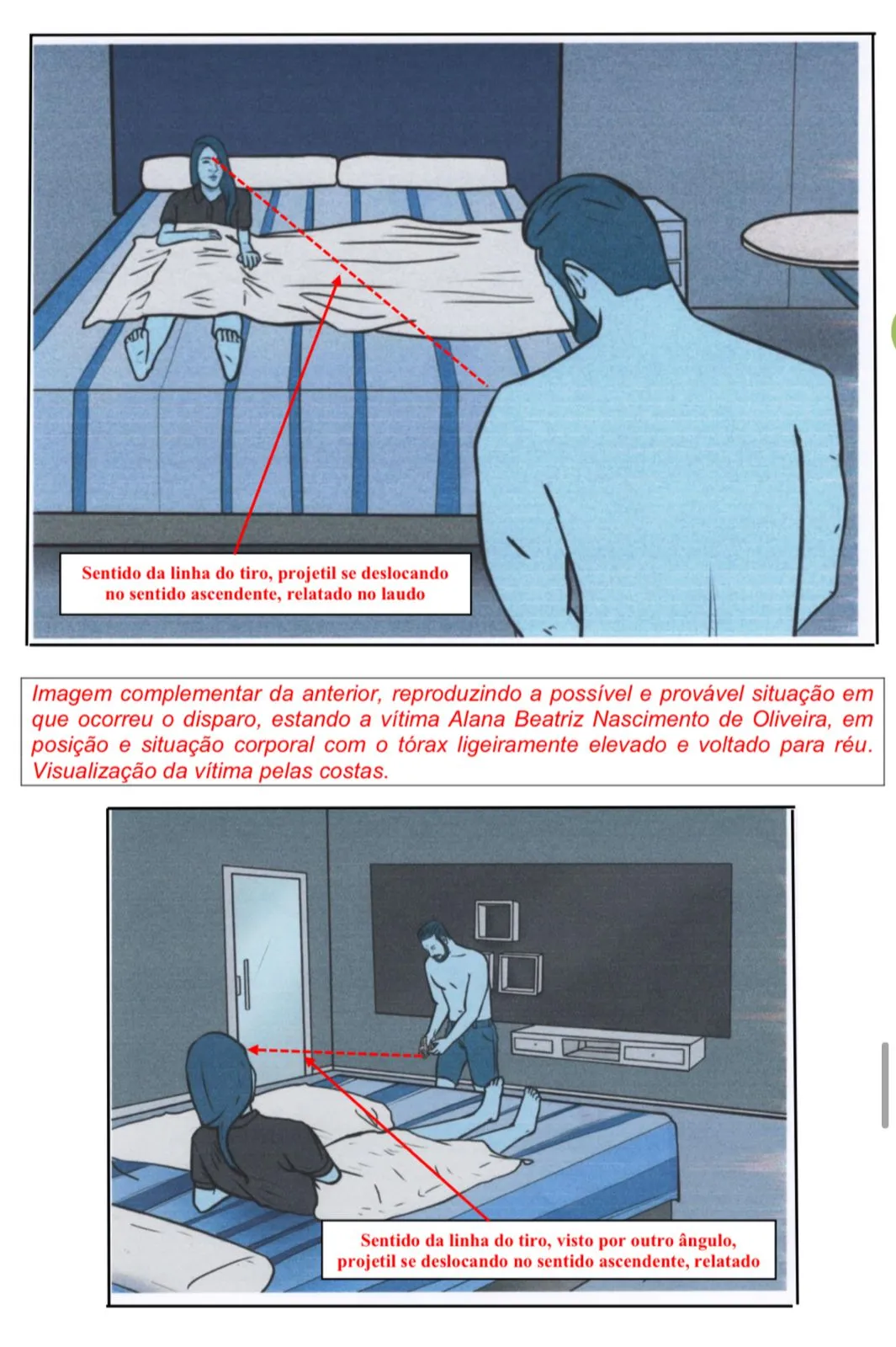 No parecer anexado aos autos constam imagens simulando a provável situação em que ocorreu o disparo