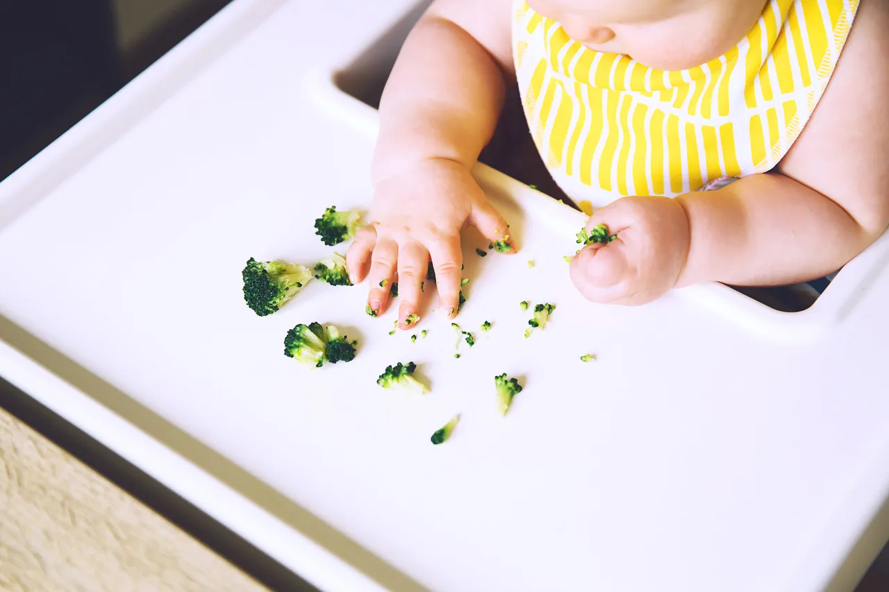 É importante que as crianças sintam a textura dos alimentos nessa etapa