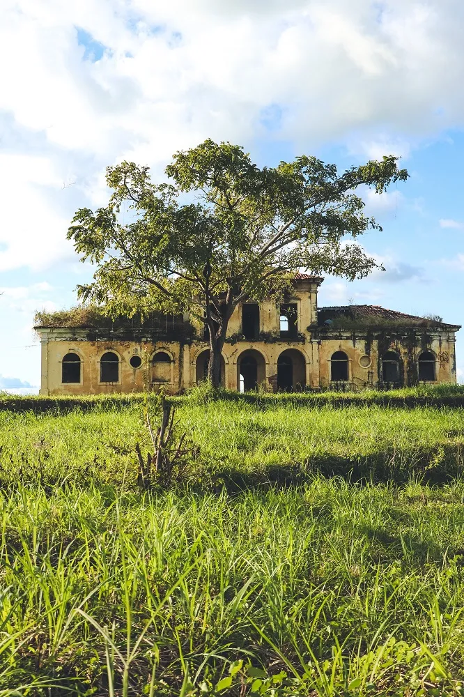 A presença arquitetônica e as dimensões da casa naturalmente despertam a atenção de quem passa pela rodovia