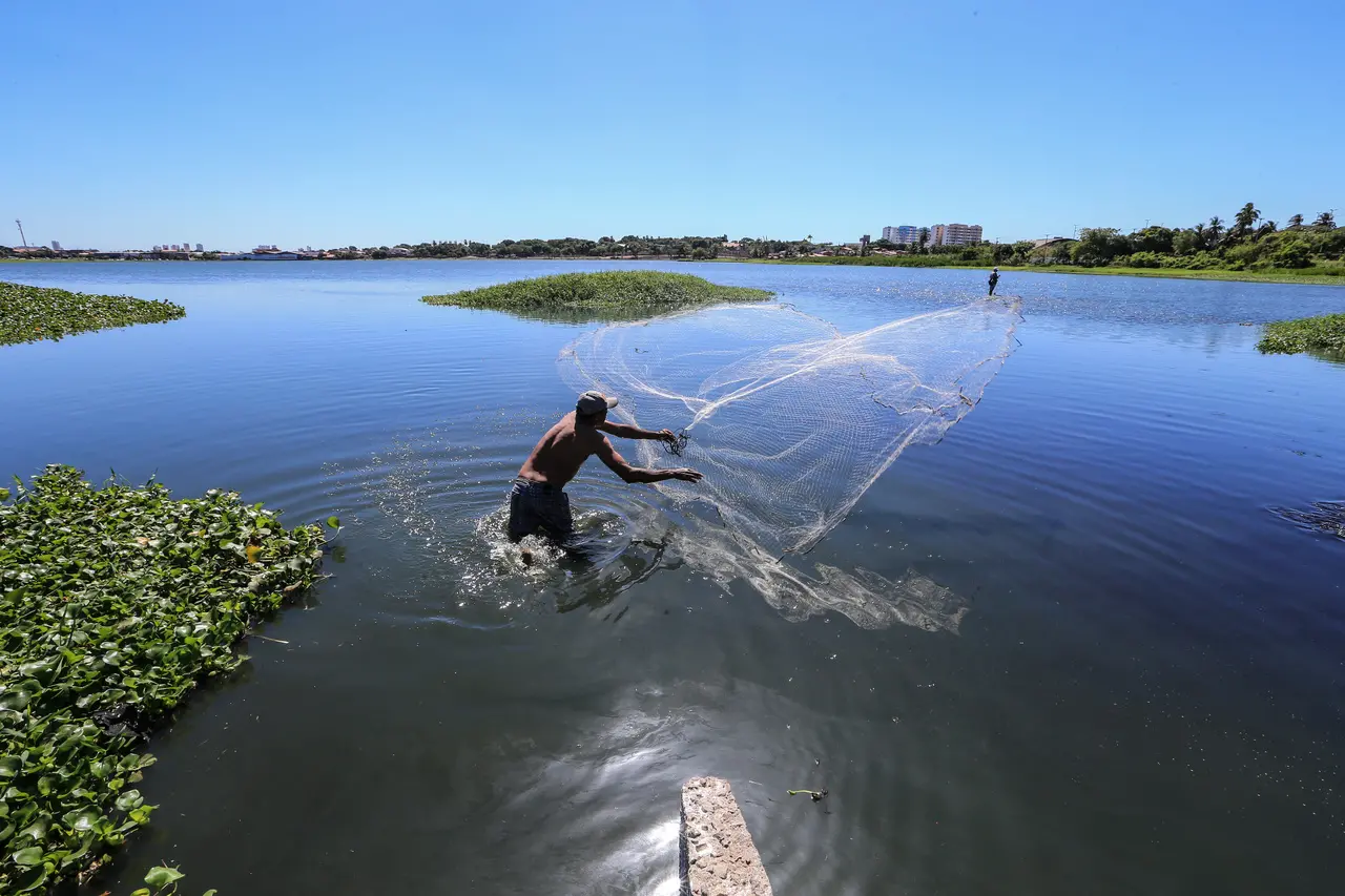 Imagem da notícia: Qualidade da água das lagoas de Fortaleza é divulgada após 2 anos sem dados; veja situação