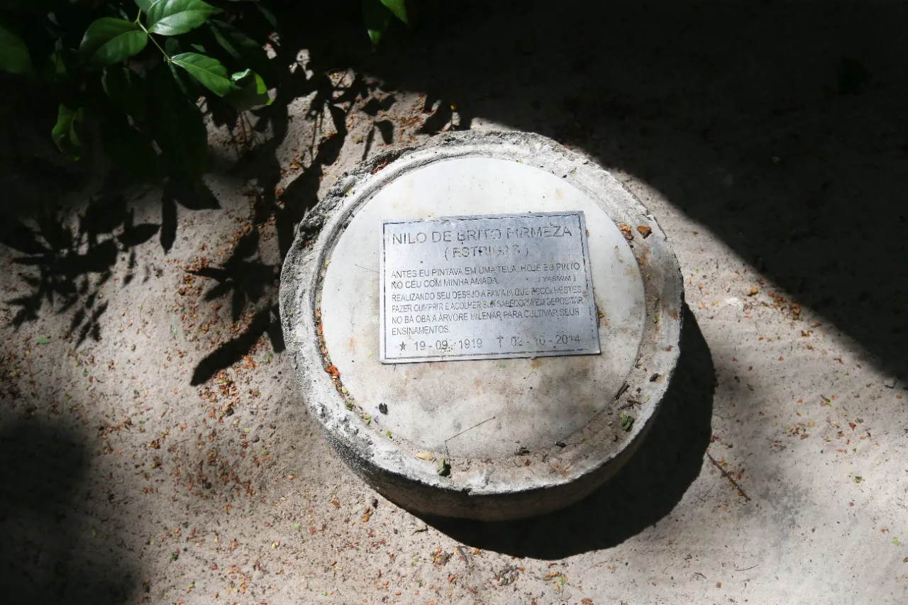No quase cinquentenário baobá do museu, estão as cinzas de Estrigas