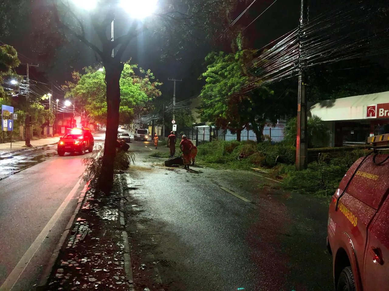 Vegetal atingiu parte da fiação elétrica instalada próxima à avenida