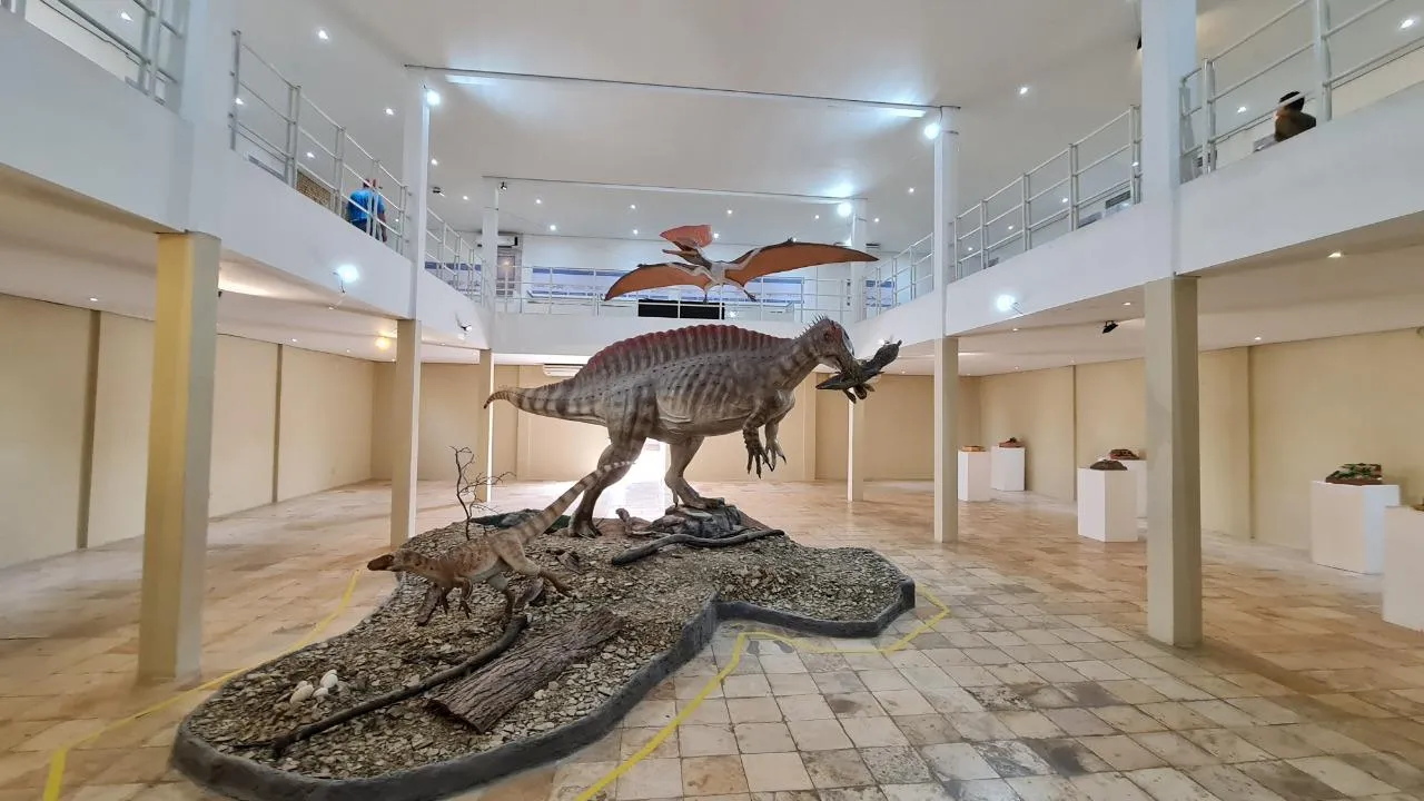 A casa mantém projetos de escavações permanentes de fósseis em toda a Bacia do Araripe