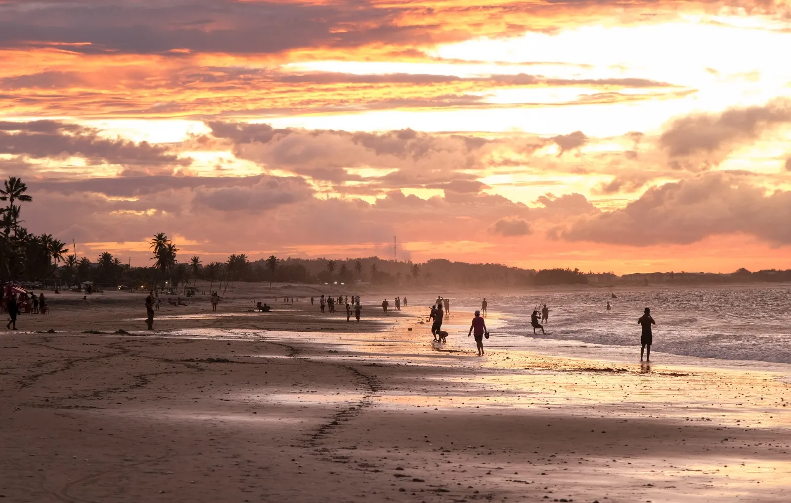 A Praia do Cumbuco: ventos mundialmente famosos, e comida também
