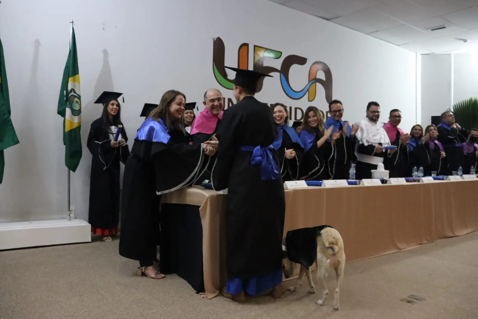 Recém formada em Administração, Fernanda Bastos é voluntária da UFCão, que acolhe animais abandonados em Juazeiro do Norte