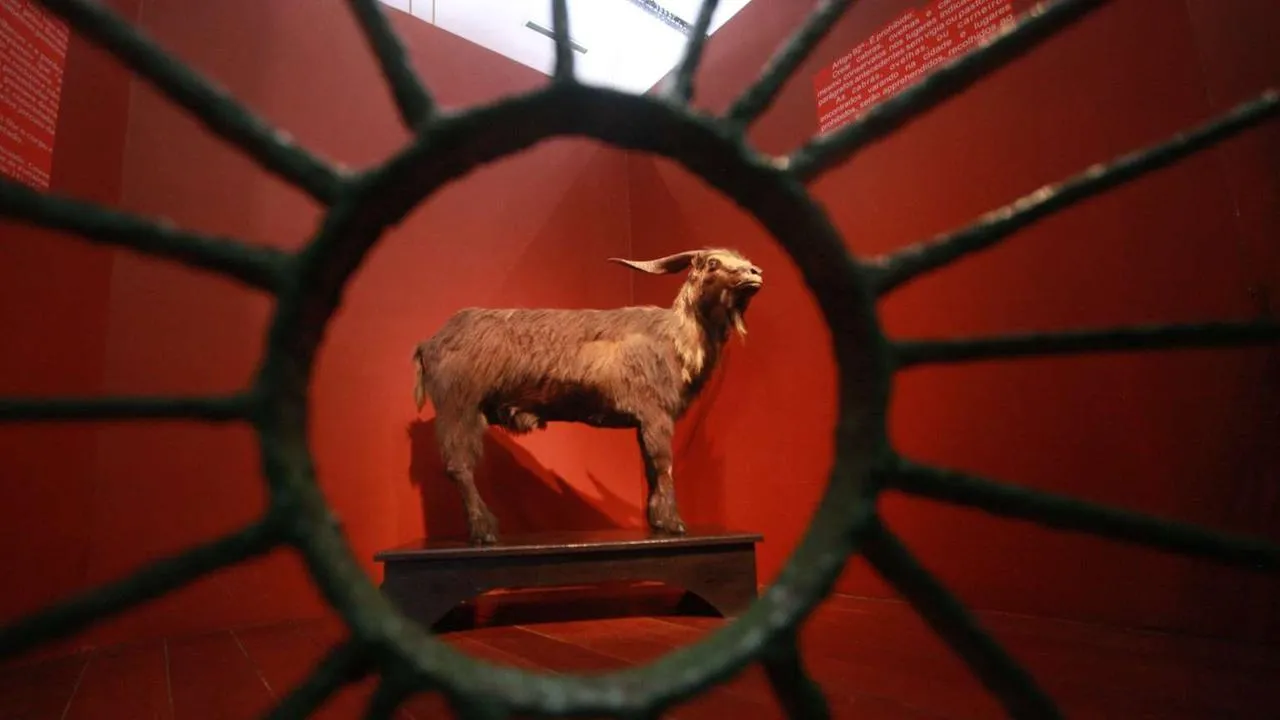 O Bode Ioiô, uma das peças mais famosas e queridas do Museu do Ceará, faz parte do acervo desde 1935