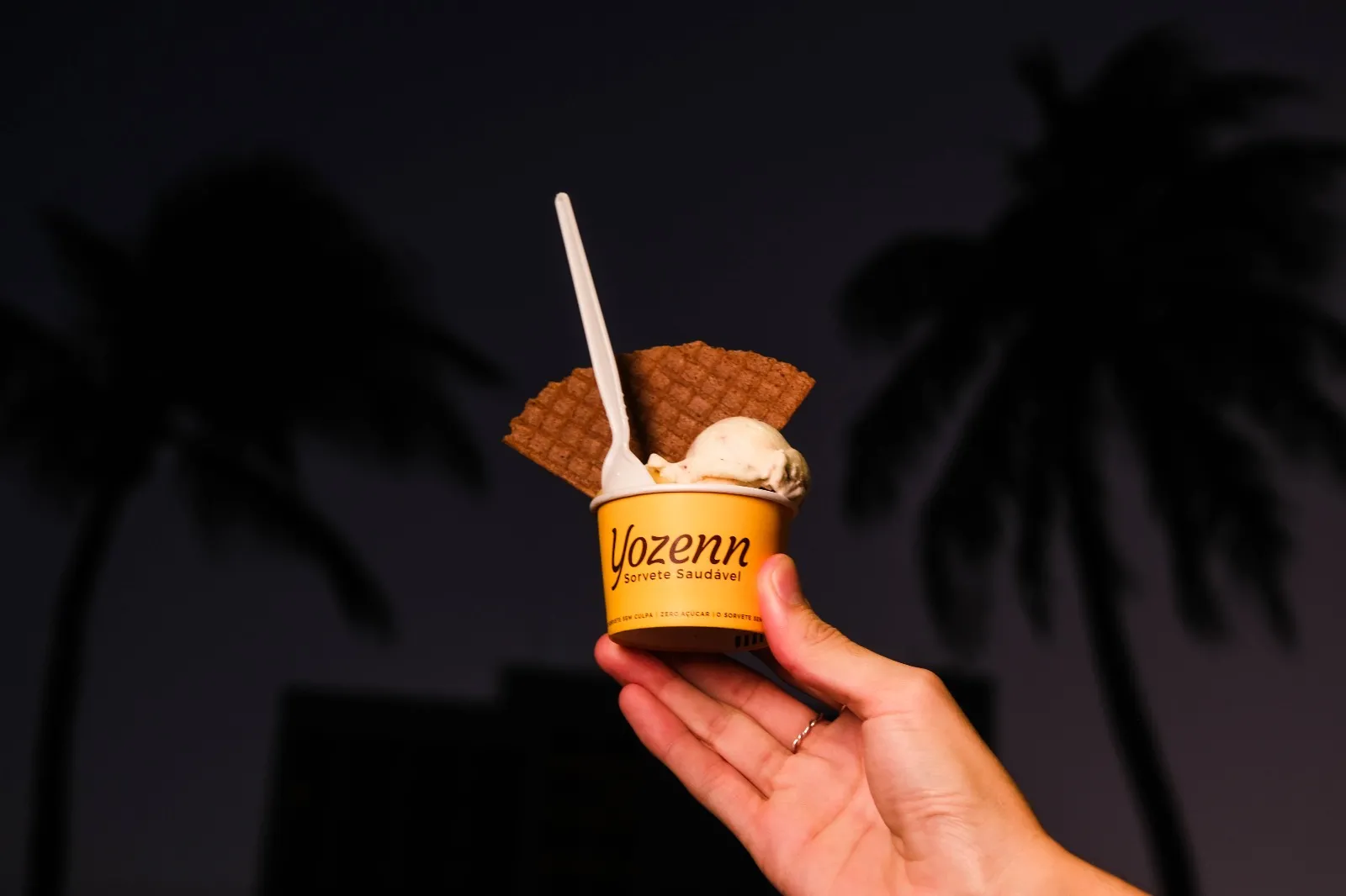 Açaí, cajá, castanha, chocolate 75% cacau, flor de leite trufado, manga, maracujá, puro avelã: são cerca de 20 sabores por loja da Yozenn
