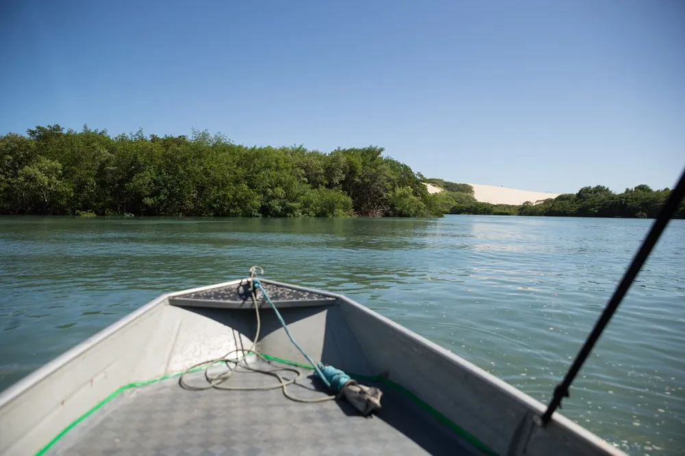 Rio, mar, areia e mangue: paisagens diversas no passeio pelo Cocó