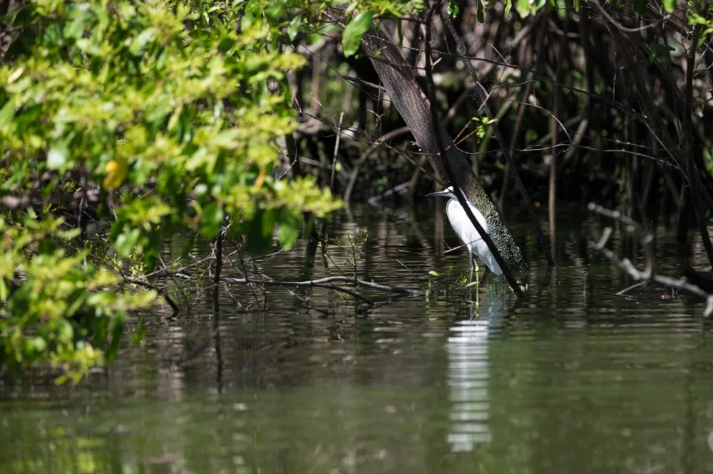 Contemplar a natureza de pertinho assim é um dos muitos privilégios proporcionados pelo passeio