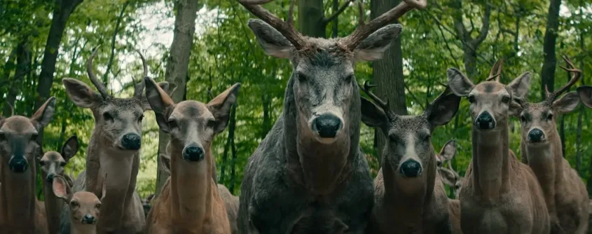 Além dos humanos, os animais selvagens também são afetados pelos estranhos acontecimentos