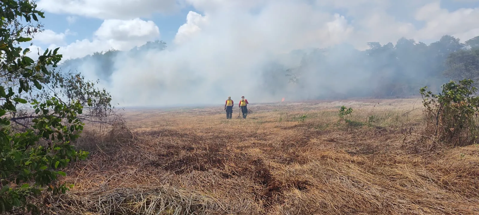 Ainda não há informações sobre o que pode ter provocado o incêndio