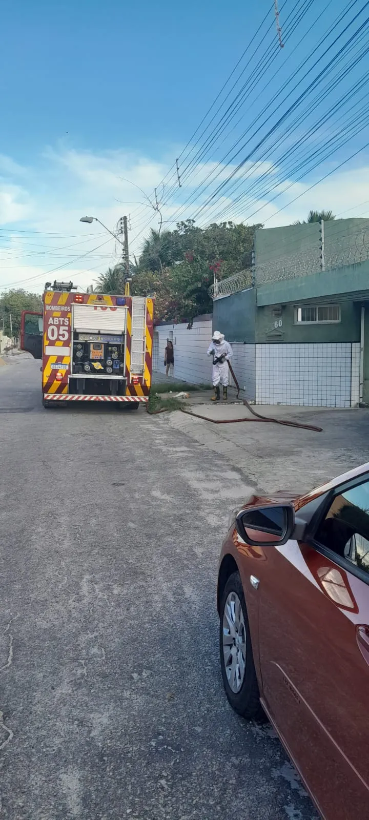 Os bombeiros chegaram a socorrer os animais